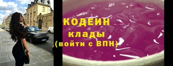 мдпв Вяземский